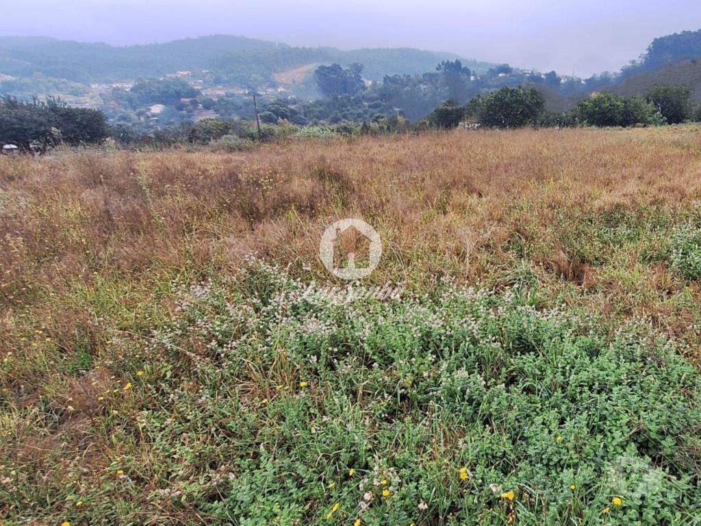 Terrenos Barcelos - Fotos para Barcelos-Terreno para construção em Barcelos (265-T-01620)