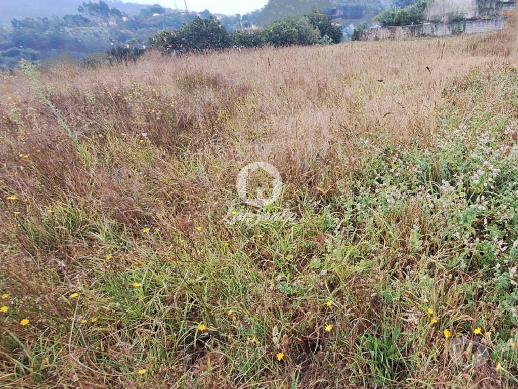 Terrenos Barcelos - Fotos para Barcelos-Terreno para construção em Barcelos (265-T-01620)