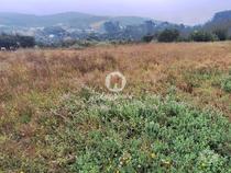 Barcelos-Terreno para construção em Barcelos (265-T-01620)