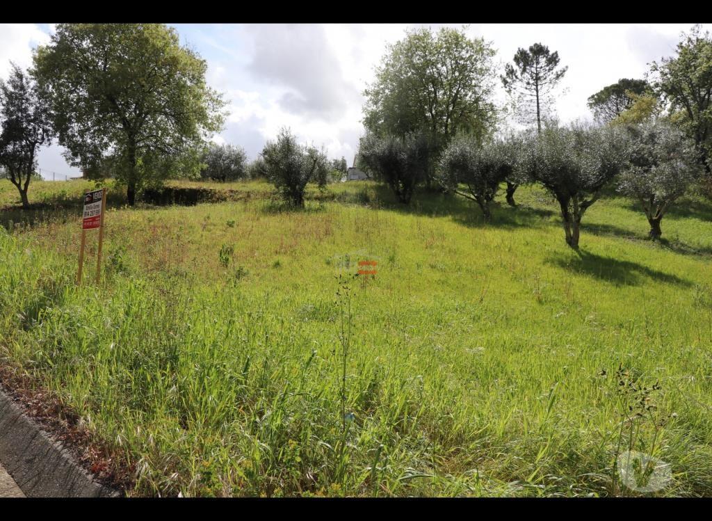 Terrenos Ourém - Fotos para Ourem-terreno (110019024)