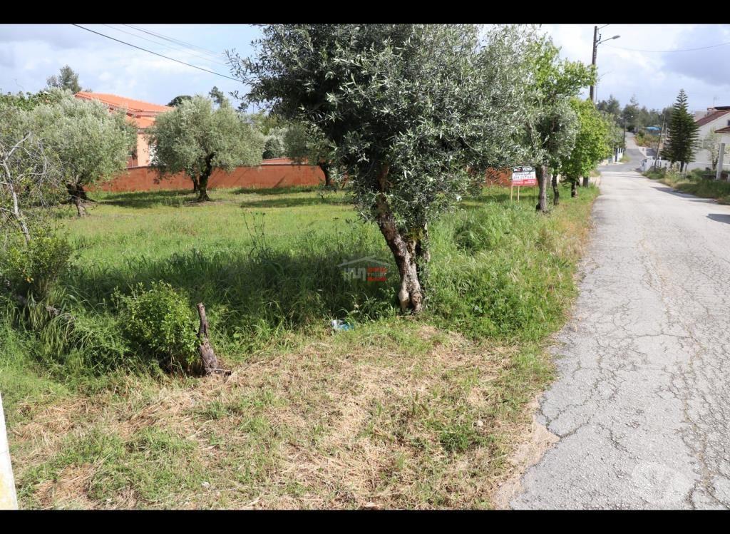 Terrenos Ourém - Fotos para Ourem-terreno (110019024)