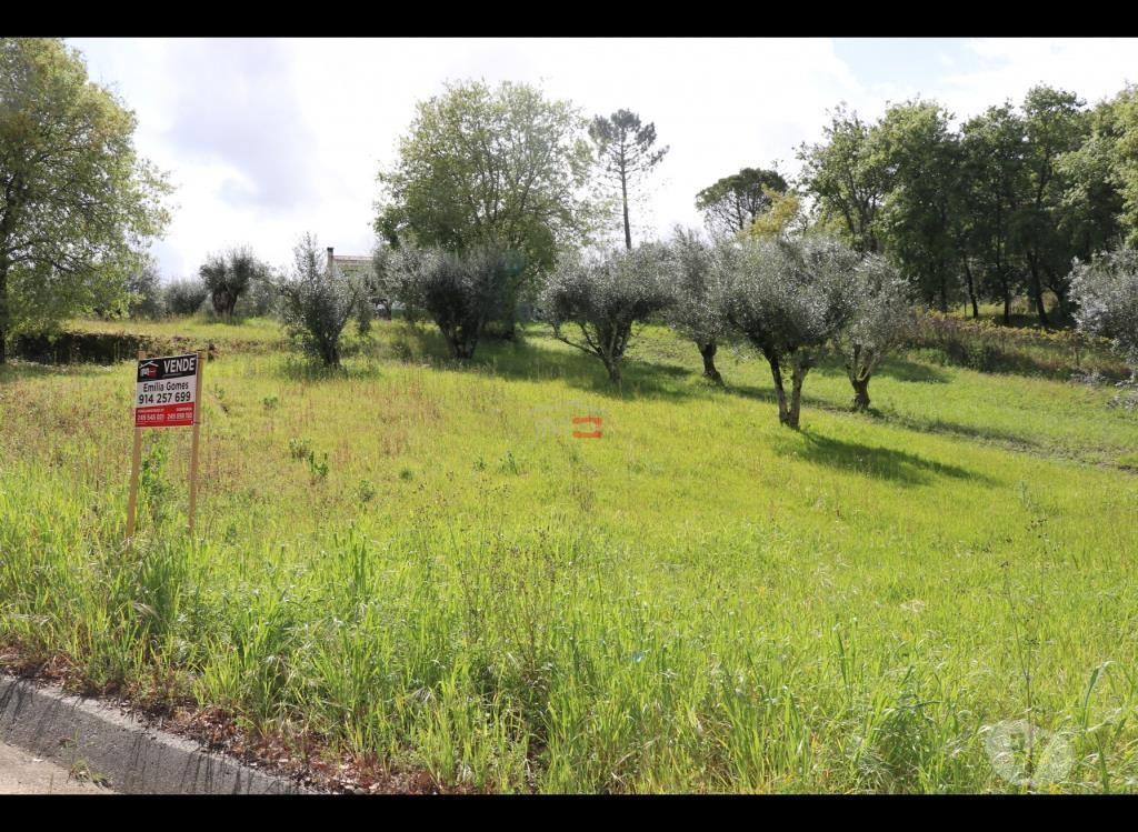 Terrenos Ourém - Fotos para Ourem-terreno (110019024)