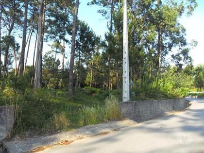 Terrenos - Fotos para Terreno de 2.400m2 em Aguçadoura, Póvoa de Varzim (240-T-03170)