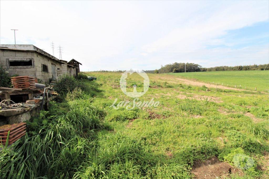 Apartamentos a venda Vila do Conde - Fotos para Moradia M2+M2 com Terreno com 6.000 m2 em Gião, vila do conde