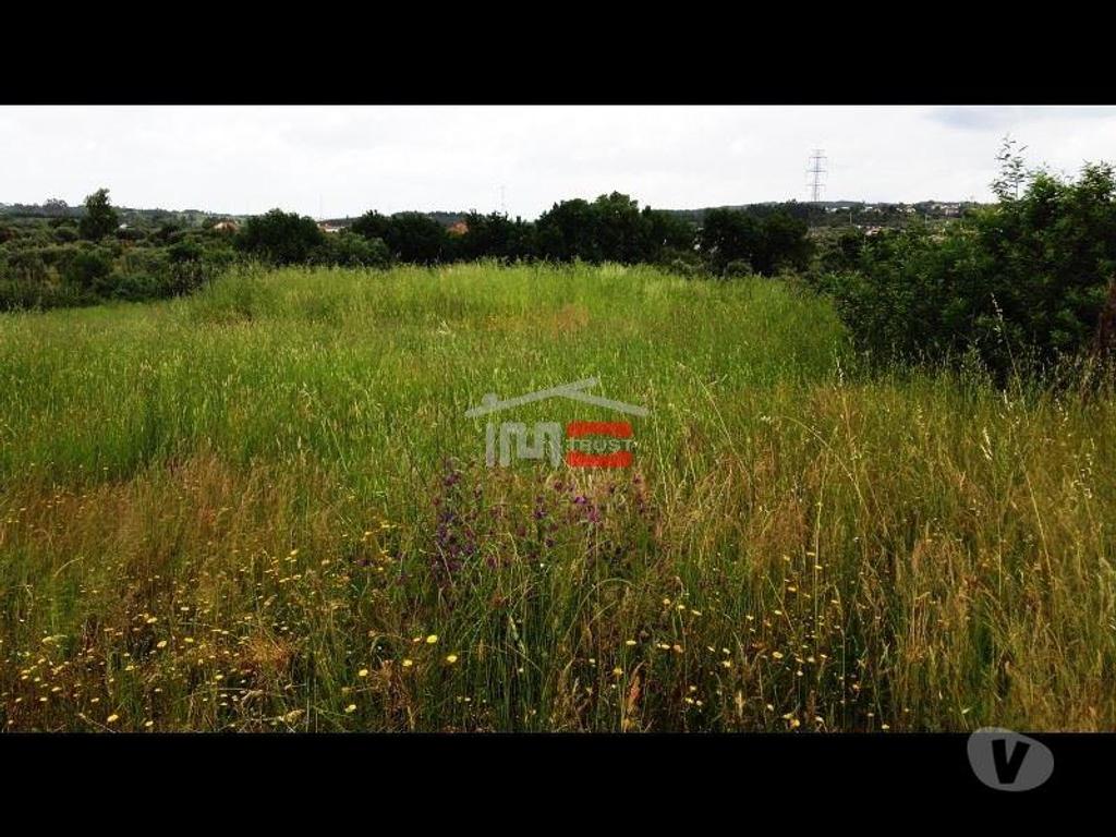 Terrenos Tomar - Fotos para Tomar-Terreno Rústico (3-T-34416016)