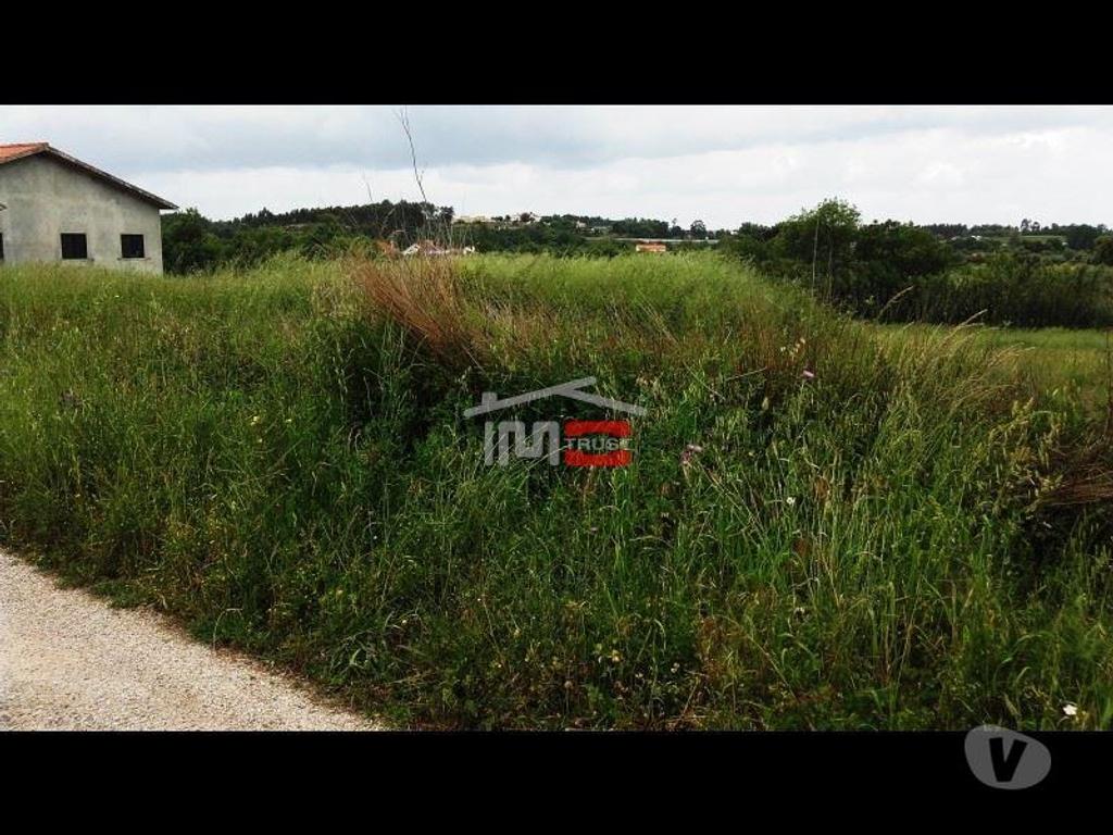 Terrenos Tomar - Fotos para Tomar-Terreno Rústico (3-T-34416016)