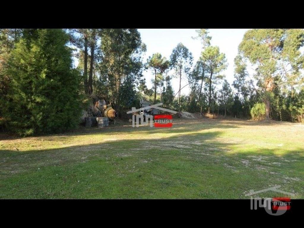 Terrenos Ourém - Fotos para Terreno c cerca de 3000m2 p construção Perto do Castelo