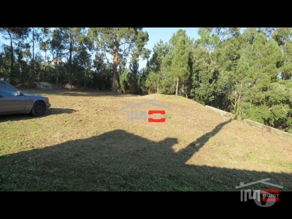 Terrenos Ourém - Fotos para Terreno c cerca de 3000m2 p construção Perto do Castelo