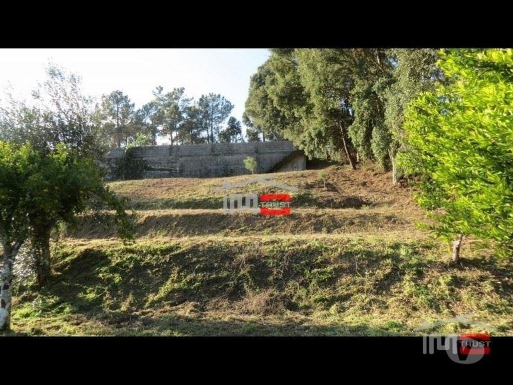 Terrenos Ourém - Fotos para Terreno c cerca de 3000m2 p construção Perto do Castelo