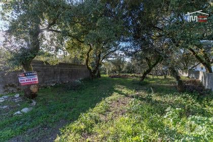Terrenos e Quintas - Fotos para Terreno para construção com 2182 m2 proximo de Fàtima