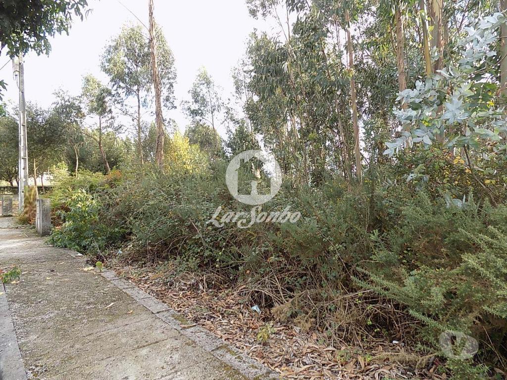 Terrenos Vila Nova de Famalicão - Fotos para 2 Lotes para construção com 489,5 m2 em Fradelos (240-T-22883)
