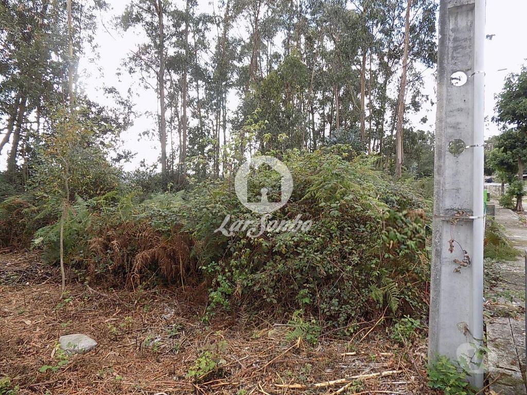 Terrenos Vila Nova de Famalicão - Fotos para 2 Lotes para construção com 489,5 m2 em Fradelos (240-T-22883)