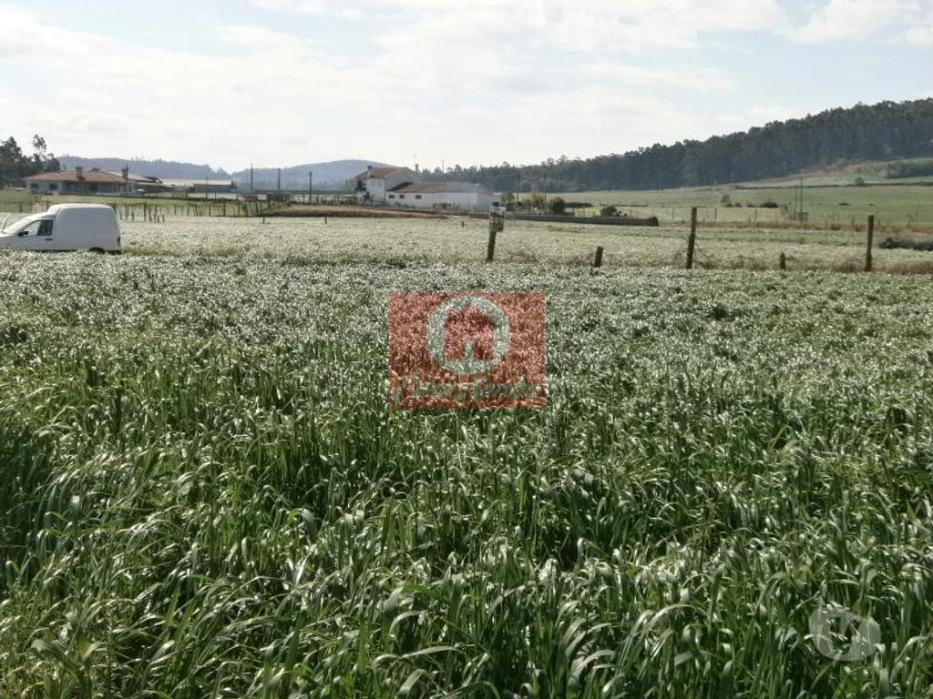 Terrenos Póvoa de Varzim - Fotos para Terreno Agrícola c 2805m2 em Rates, Povoa de Varzim