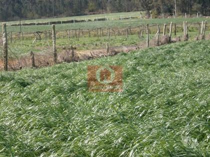 Terrenos - Fotos para Terreno Agrícola c 2805m2 em Rates, Povoa de Varzim