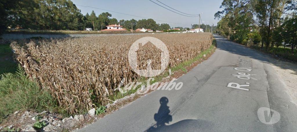 Terrenos Póvoa de Varzim - Fotos para Terreno de construção com 7.600 m2 em Argivai (240-T-20014)