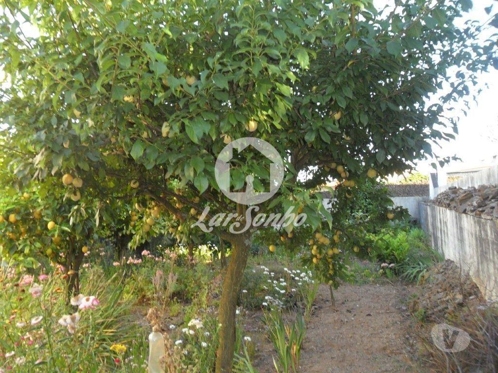 Apartamentos a venda Vila Nova de Famalicão - Fotos para M3 c garagem p 3 carros e quintal de 900m2 em Ribeirão -