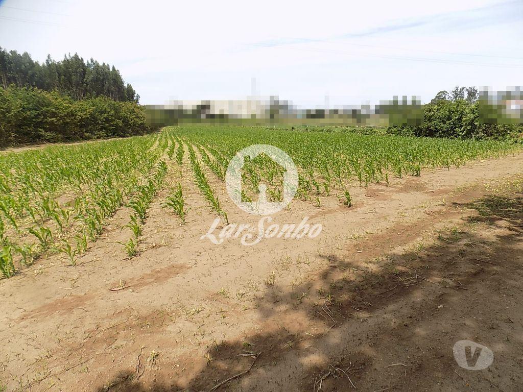 Terrenos Póvoa de Varzim - Fotos para Terreno Misto c 92.000 m2 - Argivai (240-T-20013)