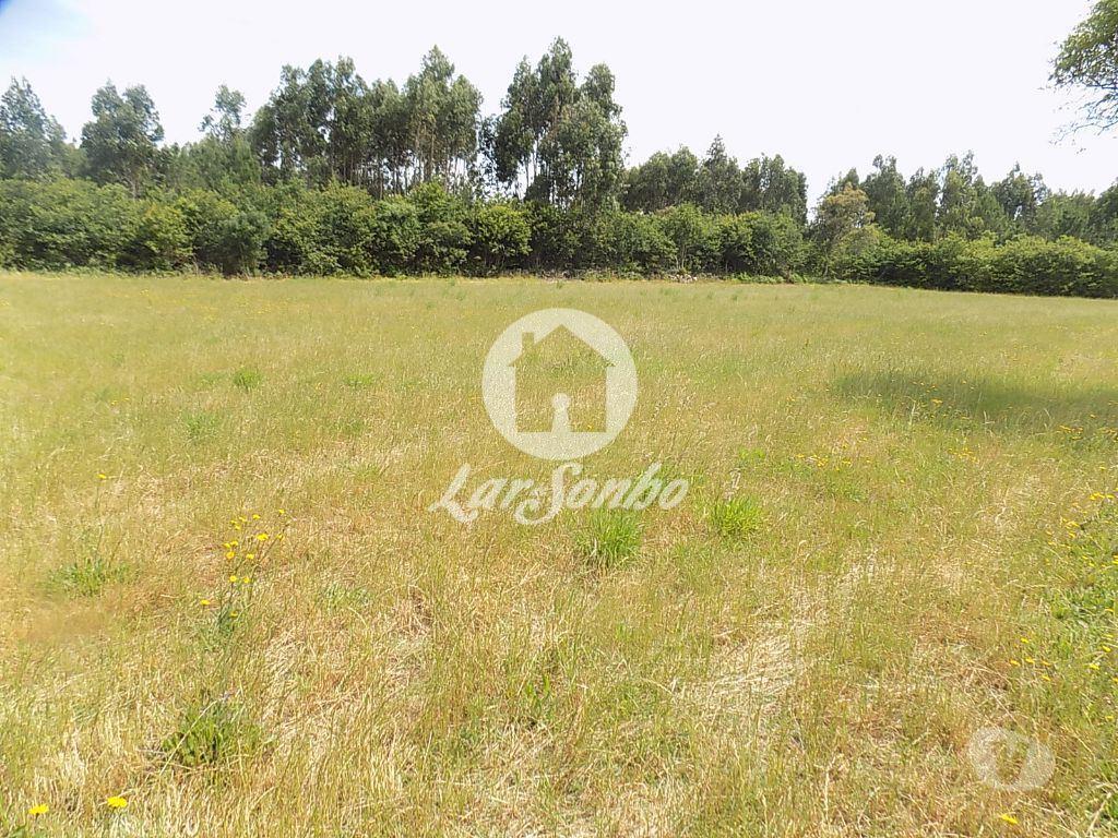 Terrenos Póvoa de Varzim - Fotos para Terreno Misto c 92.000 m2 - Argivai (240-T-20013)
