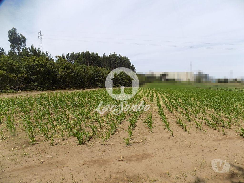 Terrenos Póvoa de Varzim - Fotos para Terreno Misto c 92.000 m2 - Argivai (240-T-20013)