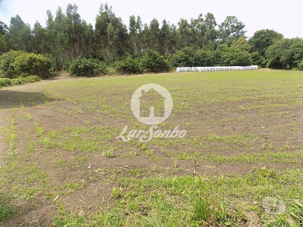 Terrenos Póvoa de Varzim - Fotos para Terreno Misto c 92.000 m2 - Argivai (240-T-20013)