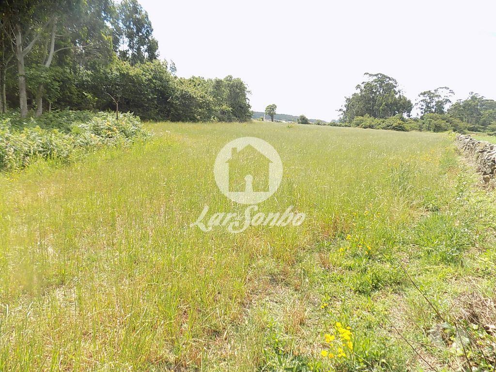Terrenos Póvoa de Varzim - Fotos para Terreno Misto c 92.000 m2 - Argivai (240-T-20013)