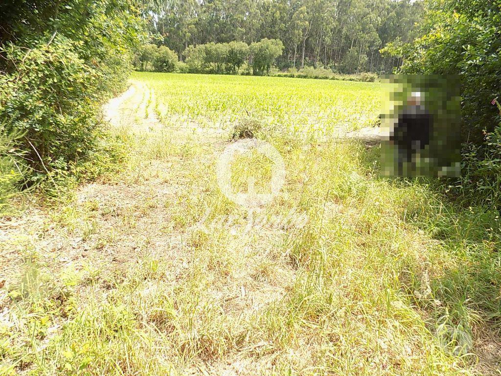 Terrenos Póvoa de Varzim - Fotos para Terreno Misto c 92.000 m2 - Argivai (240-T-20013)