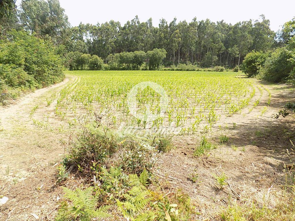 Terrenos Póvoa de Varzim - Fotos para Terreno Misto c 92.000 m2 - Argivai (240-T-20013)