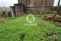 Quintinha para restauro c área total de 2000m2 em Macieira da