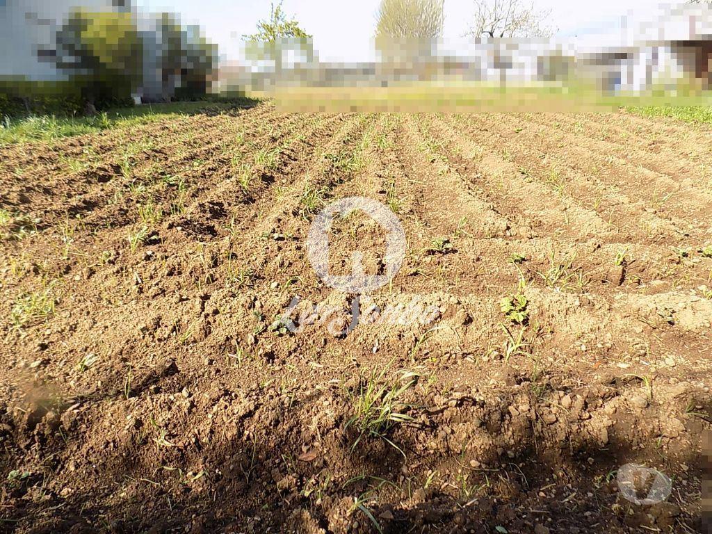 Apartamentos a venda Trofa - Fotos para Moradia M5 + G.F. com 2.700 m2 em Bougado, Trofa (240-M-19745)