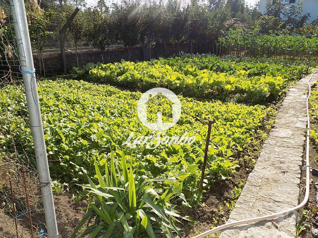 Apartamentos a venda Vila do Conde - Fotos para Quintinha c 1800m2 em Rio Mau, Vila do Conde (240-Q-02271)