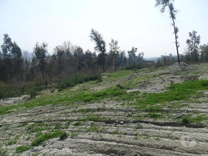Terrenos a venda - Fotos para Guimaraes-Terreno para construção (245-T-00484)