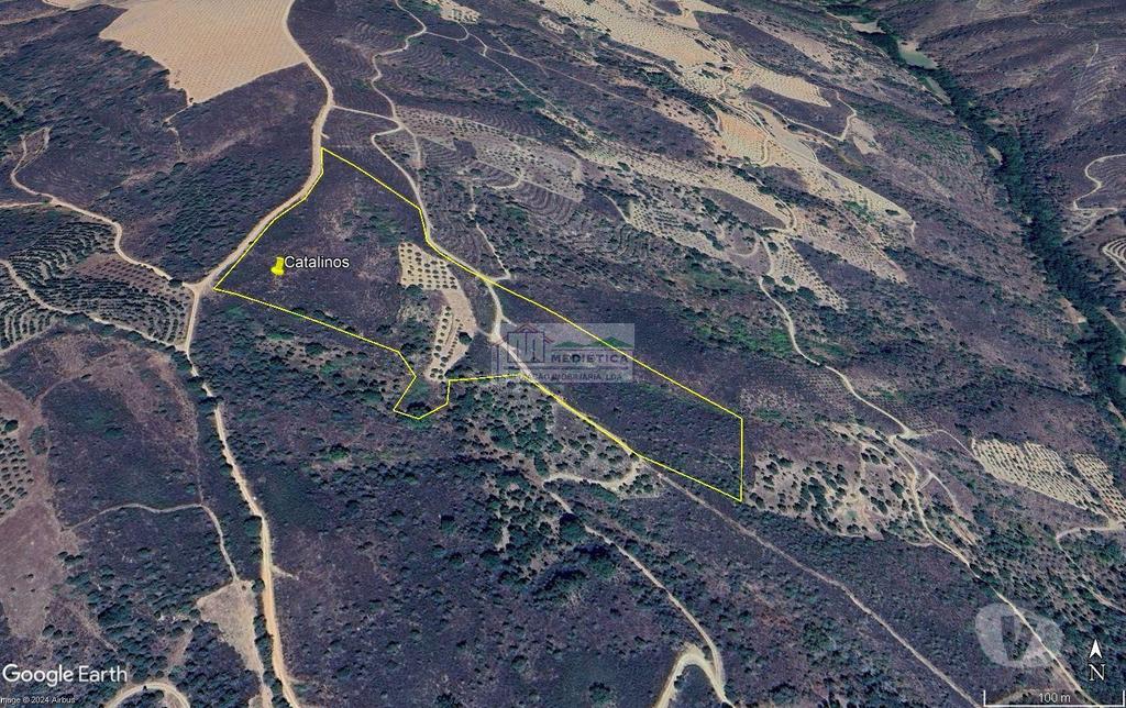 Terrenos Alfândega da Fé - Fotos para Quinta em Tras os Montes - Alfândega da Fé (Q 00438)
