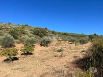 Fotos para Quinta em Tras os Montes - Alfândega da Fé (Q 00438)
