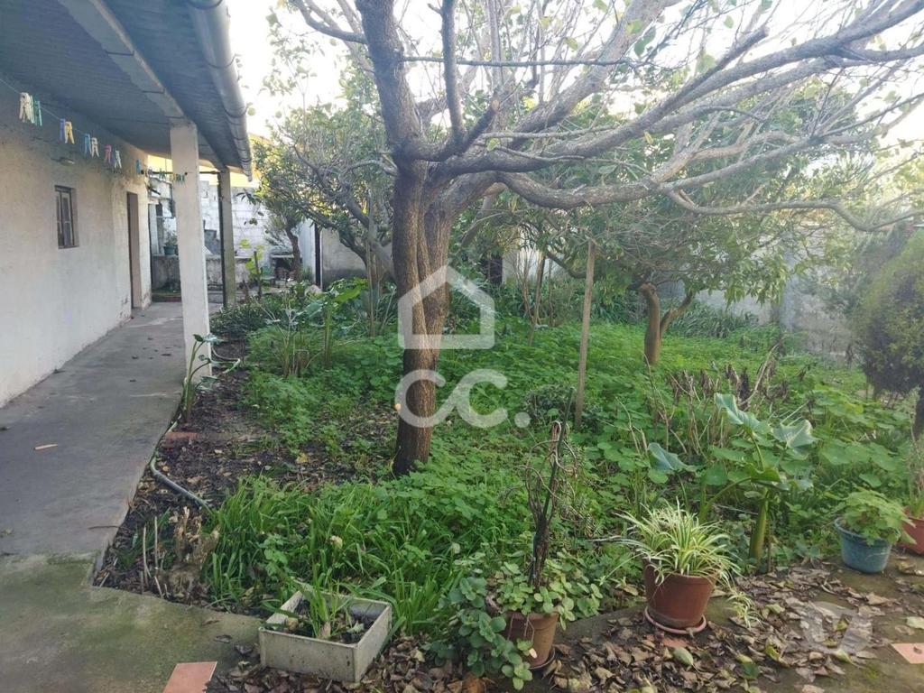 Apartamentos a venda Marinha Grande - Fotos para PARA INVESTIMENTO---- Zona central de Vieira de Leiria--Venda de