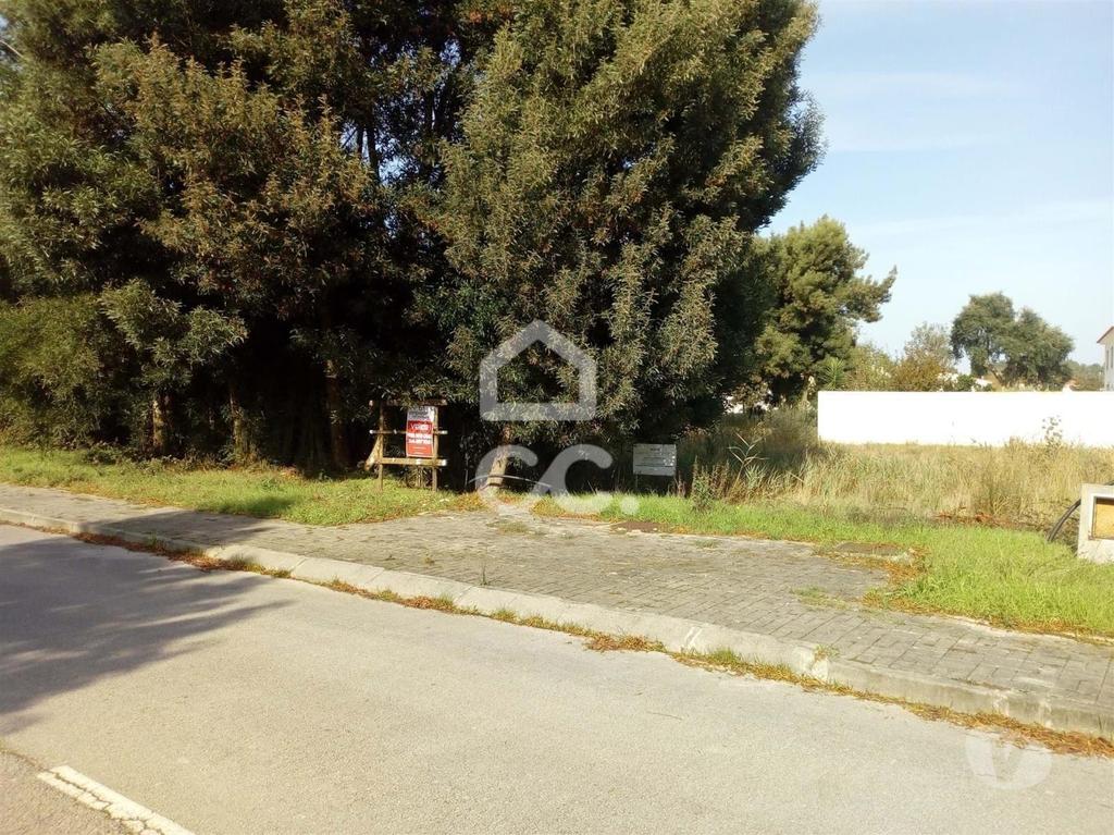 Terrenos Marinha Grande - Fotos para VENDE-SE----LOCALIZAÇÃO: M ARINHA GRANDE----Lote de terreno para