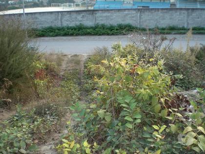 Terrenos a venda - Fotos para Guimaraes-Terreno para construção (245-T-00367)
