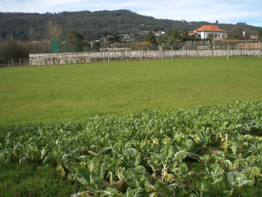 Terrenos Guimarães - Fotos para Guimaraes-Terreno para construção (245-T-00365)