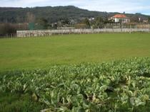 Guimaraes-Terreno para construção (245-T-00365)