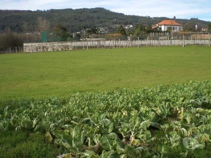 Terrenos e Quintas - Fotos para Guimaraes-Terreno para construção (245-T-00365)