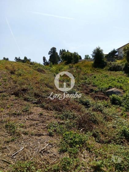 Terrenos e Quintas - Fotos para Terreno de 5.133m2 e com 900m2 de construção em Serzedelo,