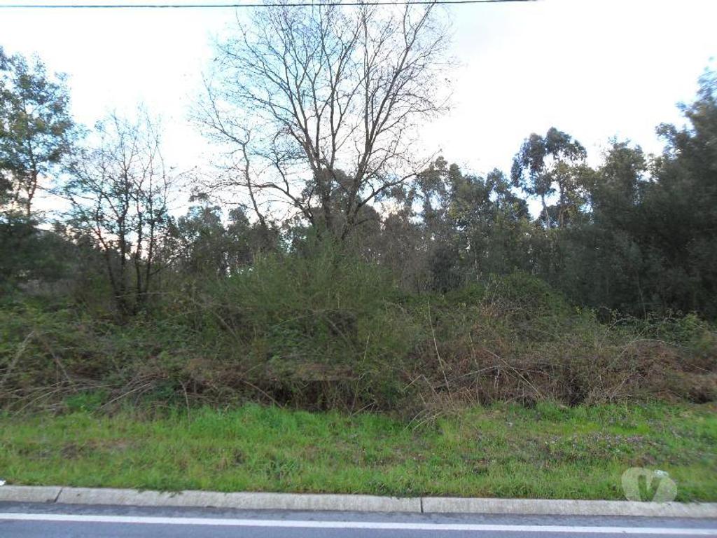 Terrenos Guimarães - Fotos para Guimaraes-Terreno para construção (245-T-00153)