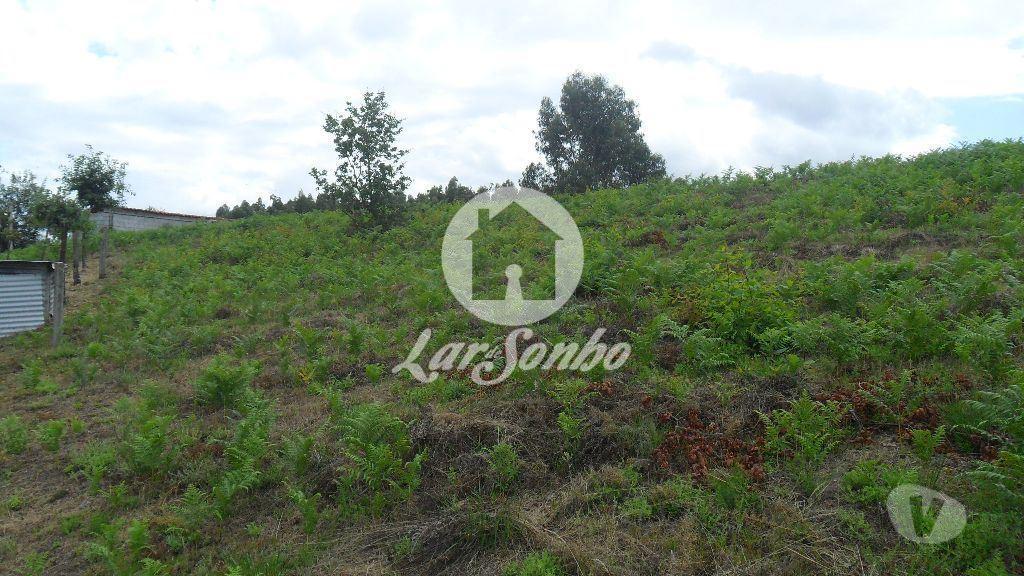 Terrenos Guimarães - Fotos para Guimaraes-Terreno para construção (245-T-01133)