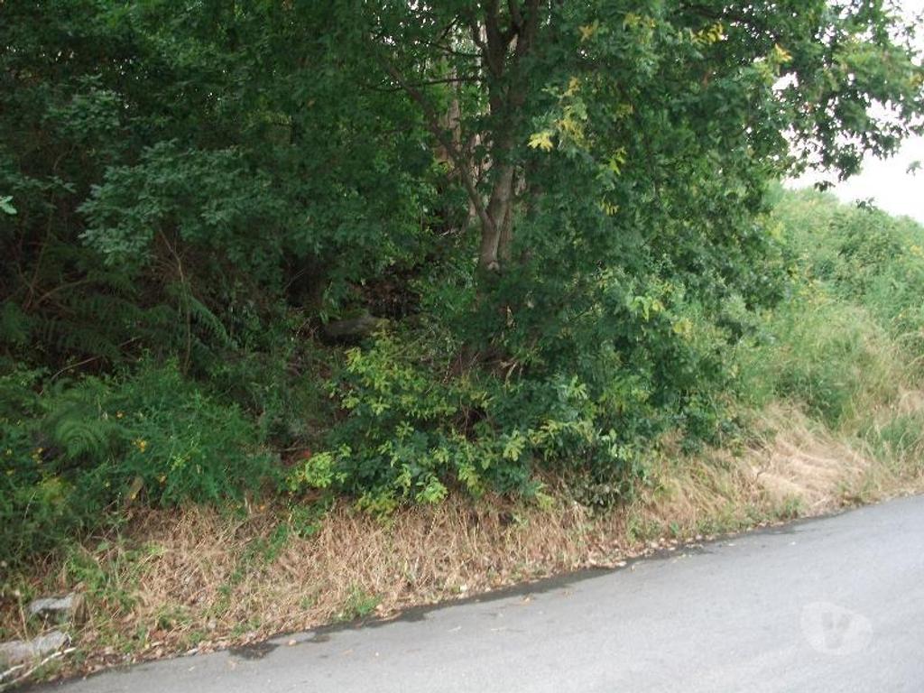 Terrenos Guimarães - Fotos para Guimaraes-Terreno para construção (245-T-00366)
