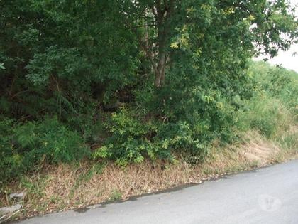 Terrenos - Fotos para Guimaraes-Terreno para construção (245-T-00366)