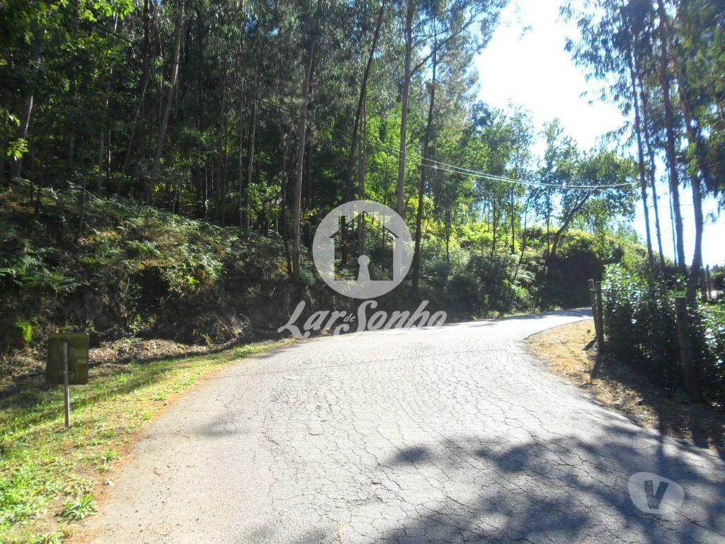 Terrenos Guimarães - Fotos para Guimaraes-Terreno Rústico (245-T-01293)