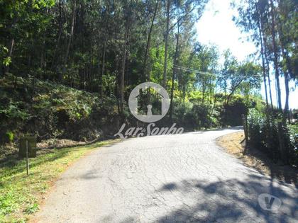 Terrenos - Fotos para Guimaraes-Terreno Rústico (245-T-01293)