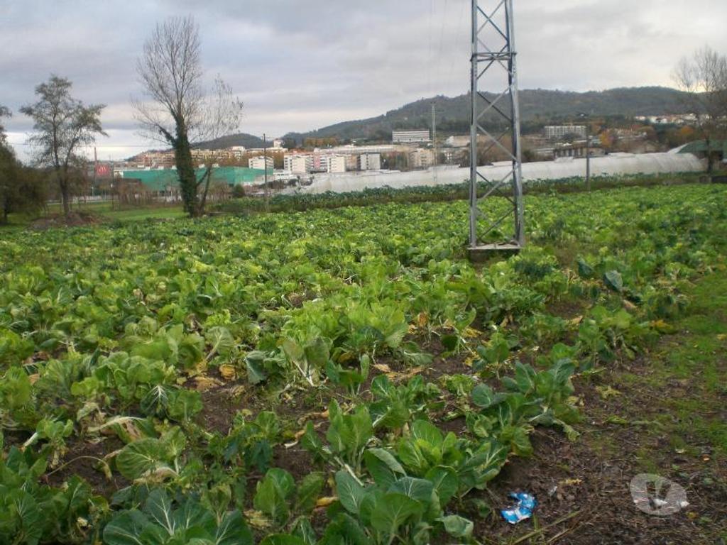 Terrenos Guimarães - Fotos para Guimaraes-Terreno rústico (245-T-00129)