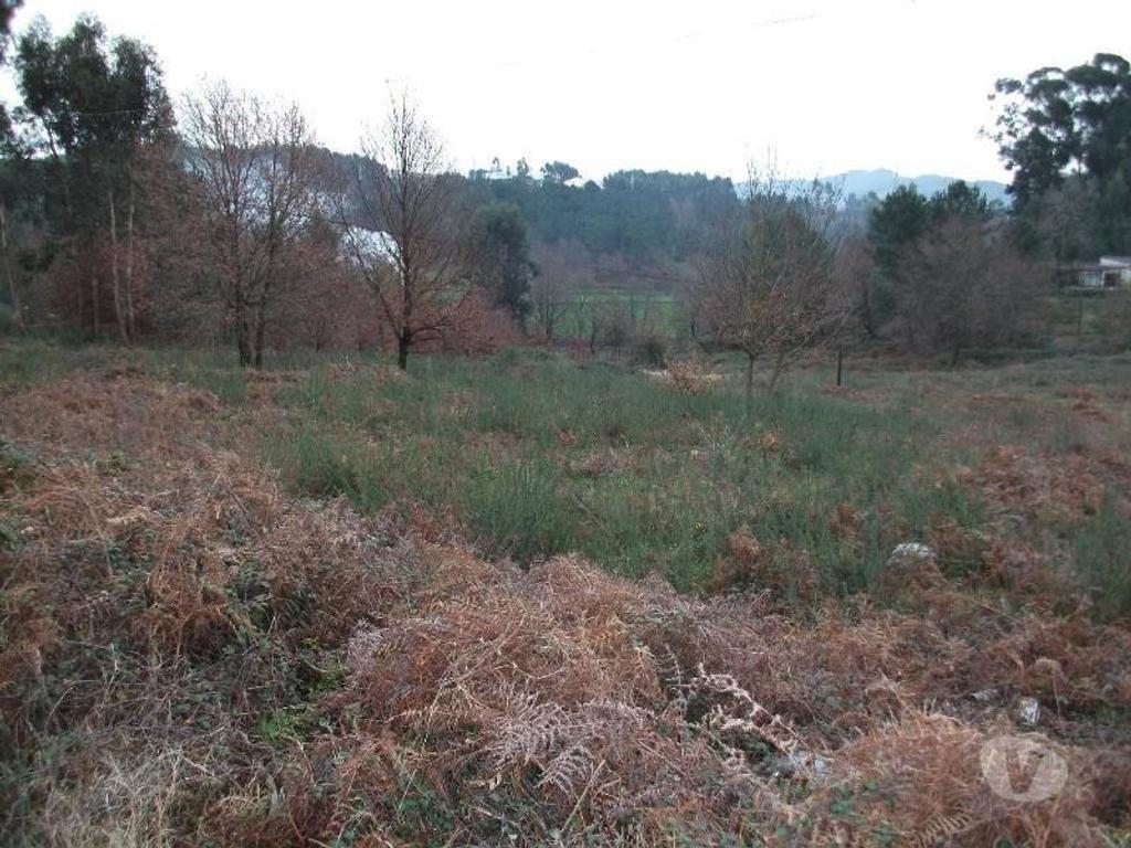 Terrenos Guimarães - Fotos para Guimaraes-Terreno para construção em Ronfe (245-T-00126)
