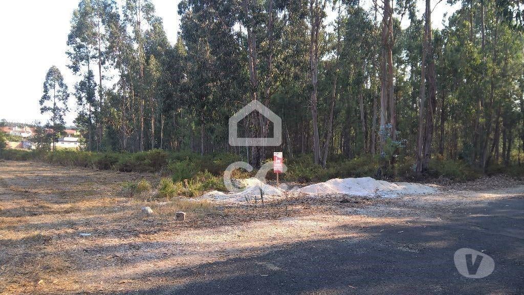 Terrenos Marinha Grande - Fotos para Terreno p const. altura - Terreno para construção, zona calma!