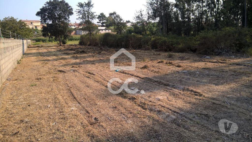 Terrenos Marinha Grande - Fotos para Terreno p const. altura - Terreno para construção, zona calma!